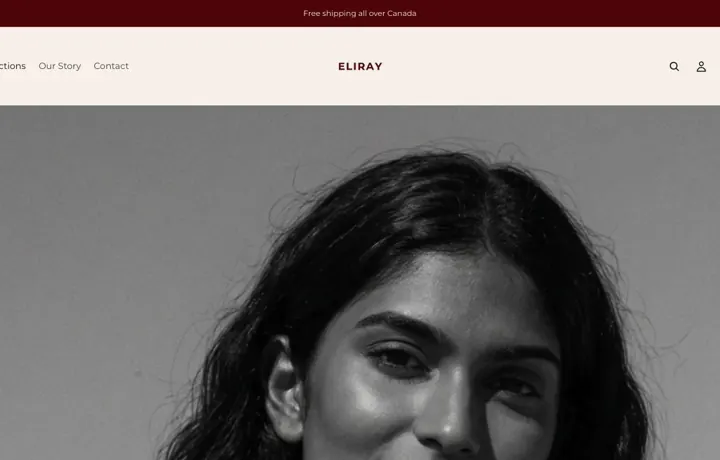 Eliray website preview